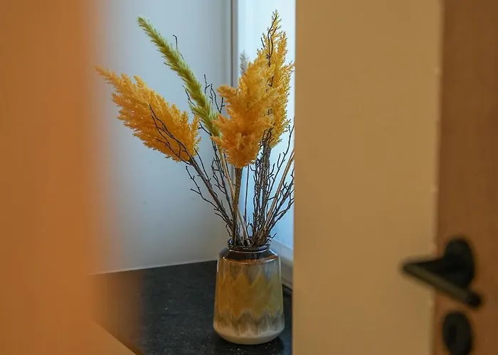 Le Charme De La Semois 3*