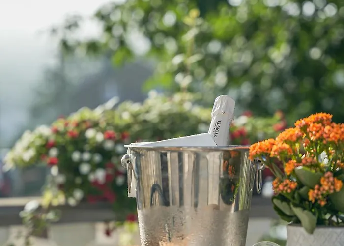 Le Charme De La Semois 3* Alle