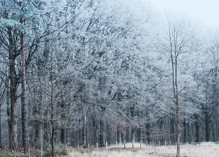 Le Charme De La Semois 3*