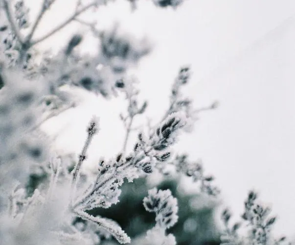 Le Charme De La Semois 3* Alle