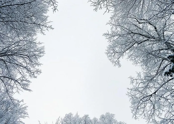 Le Charme De La Semois Hotell 3*